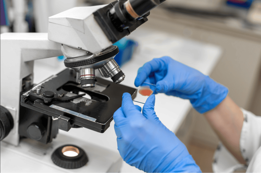 Передовые технологии замедления старения Zoe Biosciences: этапы разработки и пайплайн